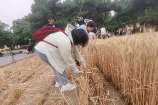 雷竞技电脑怎么登录截图0